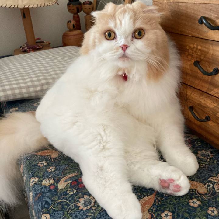 97c45ee5 b0ff 4677 8035 dbbc81eb3d6d 1620988215499