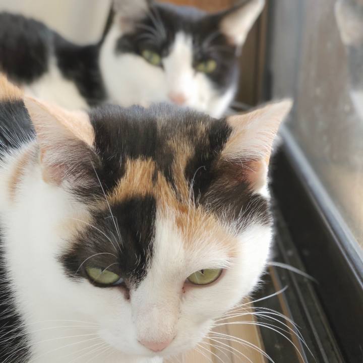 97c4ae3b 2ed8 4856 b3aa cf43184acc03 1552531282089