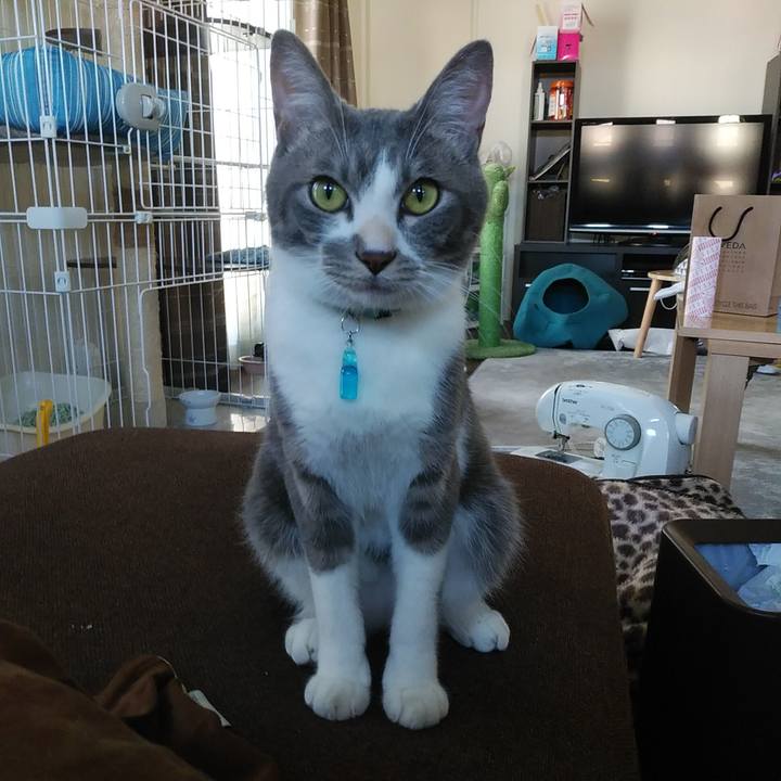 97c4befa 6fa7 40de 8c74 a2055830b570 1593680035775