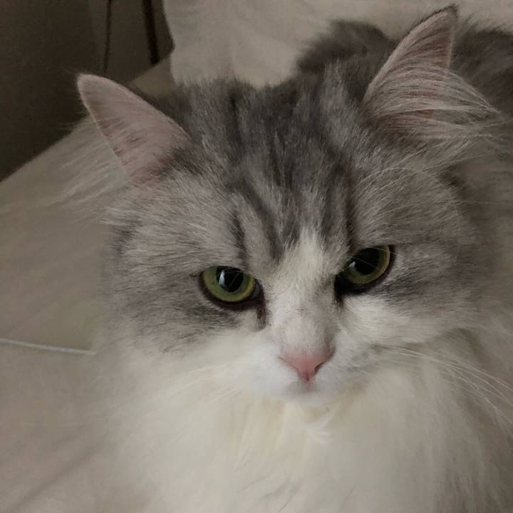 97c505c2 561e 48e5 b986 92cdcea76c02 1547549143863