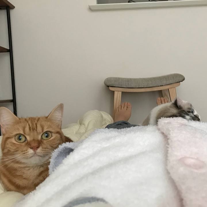 97c5062e fb48 4067 9675 a8fd142aecd3 1538869029477