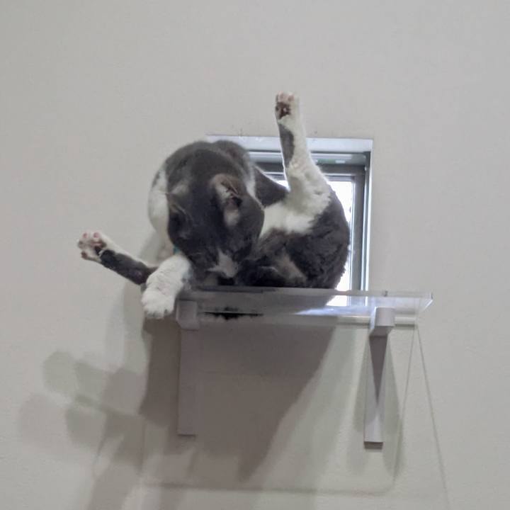 97c51fb6 e62b 4033 8ba0 6d92ed6008dc 1770011611928