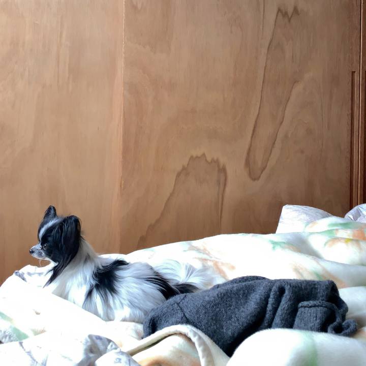 97c52abe 40e9 4b4f ab29 067b3a8d151f 1556593882619