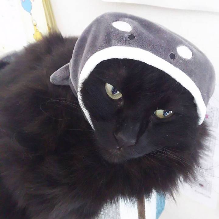 97c54ab4 9e7d 4e22 ab63 41d5fed2b3cd 1553146881235