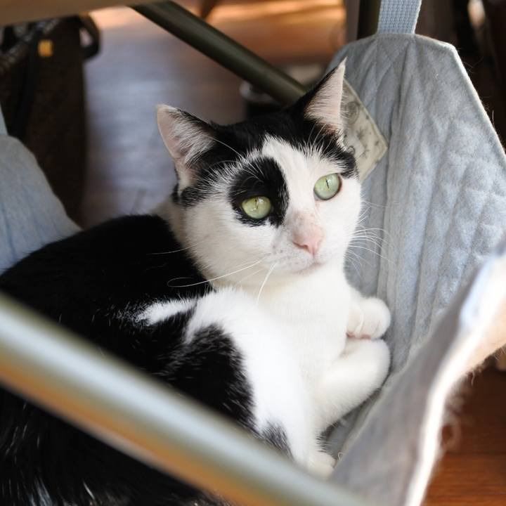 97c58f29 1035 48c7 82d5 ab9d840c61d5 1586143556366