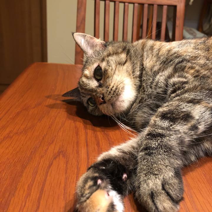 97c5c851 0eec 4147 98b8 65f65277195a 1593964930383