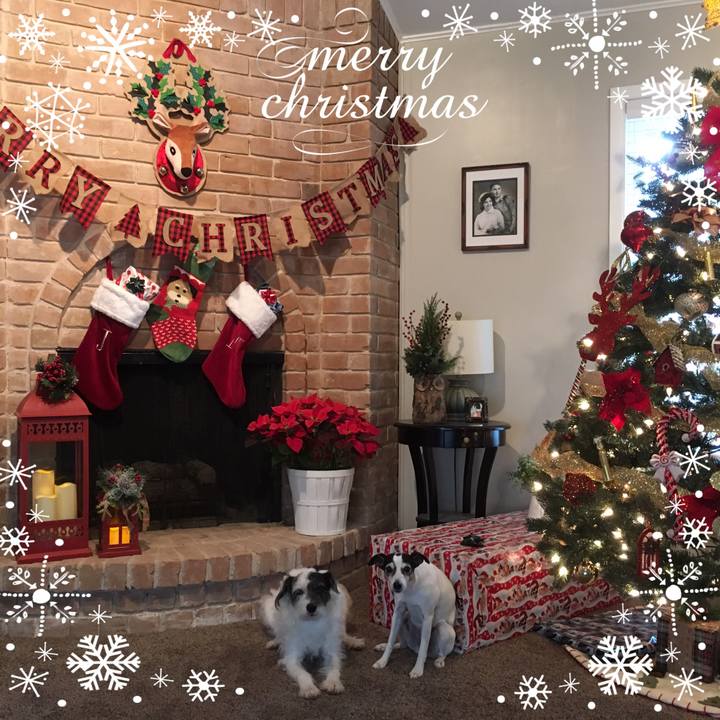 97c6230d a2c5 4886 8fa9 f960a5e66527 1545610576826