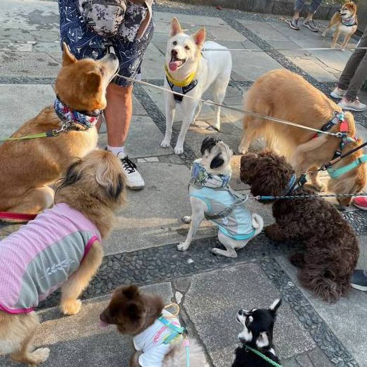 97c655b4 8e31 4832 bc76 4b811e062a0c 1690338402953