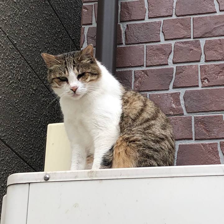 97c68c46 68bf 4052 b894 2c7b189ed146 1529736687017