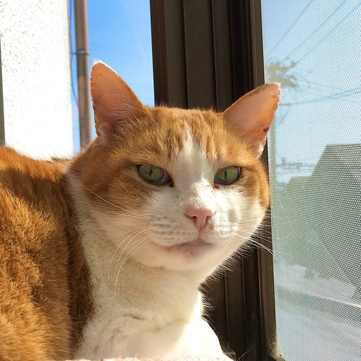 97c6a384 f150 4320 87dc 8cb8b5cec767 1615442006651