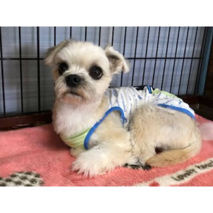 97c6c507 65bf 4d05 a36d 81140cadb7ed 1539687413630