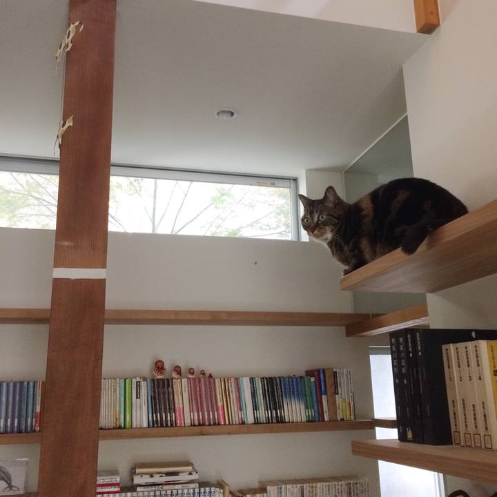 97c6efdf 1242 4010 89dc 8a082a8c204c 1525309436822