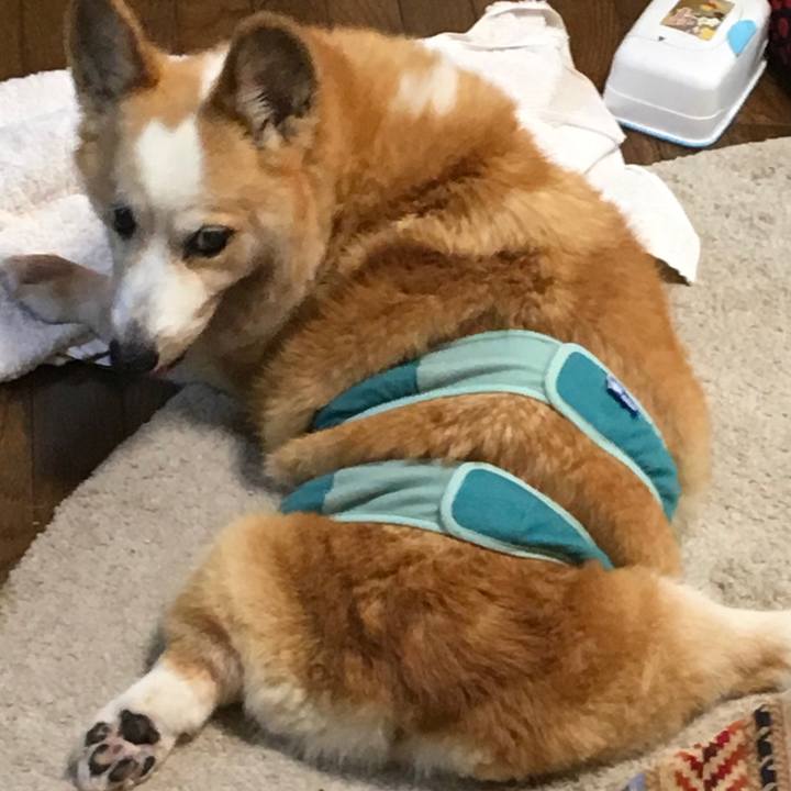 97c7033f ebaa 46d6 be1c 17f506d95ec3 1563159260414