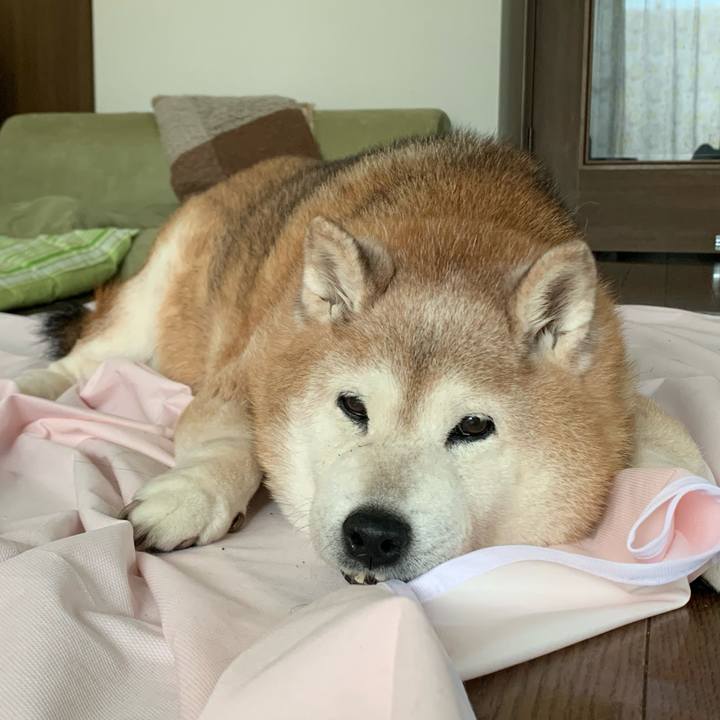 97c7675a 987f 41bb 9dbd 16e5456116cc 1664634044904