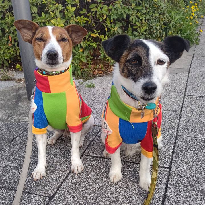 97c76a4a 81c5 4399 a435 615fd6efda03 1679439661398