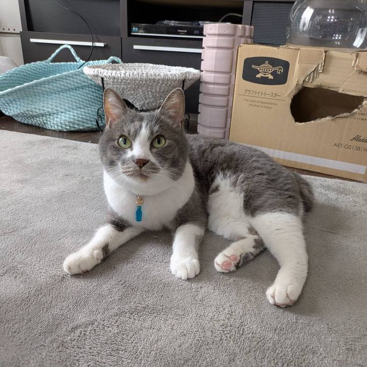 97c77a93 723a 4a61 9a91 9536e9401b8f 1746755152933