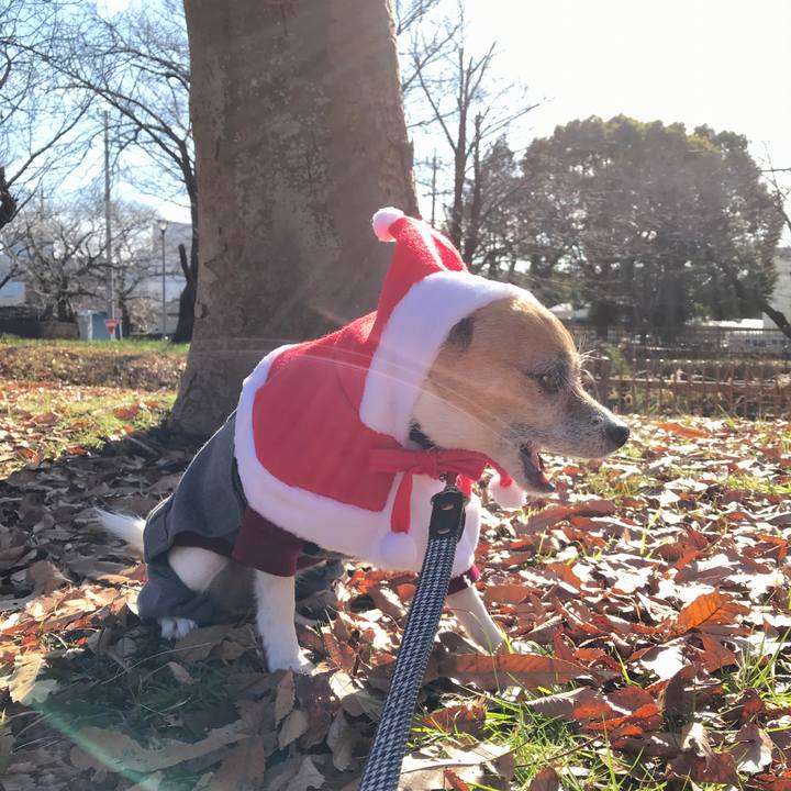 97c7b80b 7e53 432a aa52 2363cc698f02 1577160752560