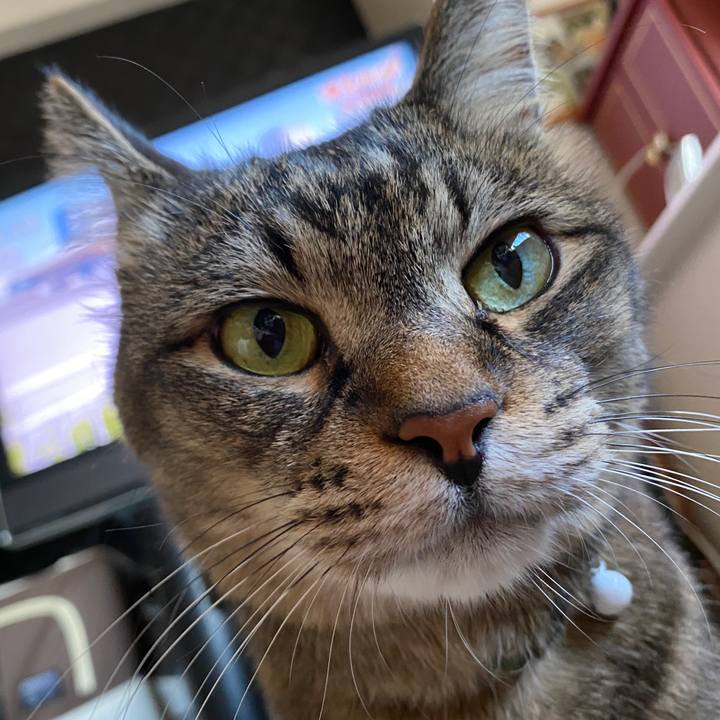 97c7e189 cb7f 493a a21e 102f2f5153cf 1627018014103