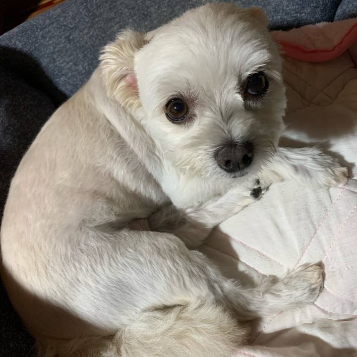 97c803f1 7ed3 41c0 9133 4134f510445b 1629196963826