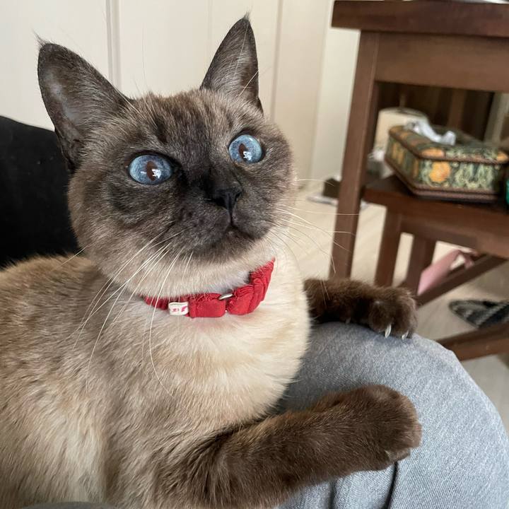 97c82048 b884 4b62 9b94 a3747ae4e27d 1767162356326