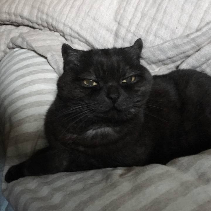 97c8371a 3a25 4aa9 8e21 660fb417e549 1553055002274