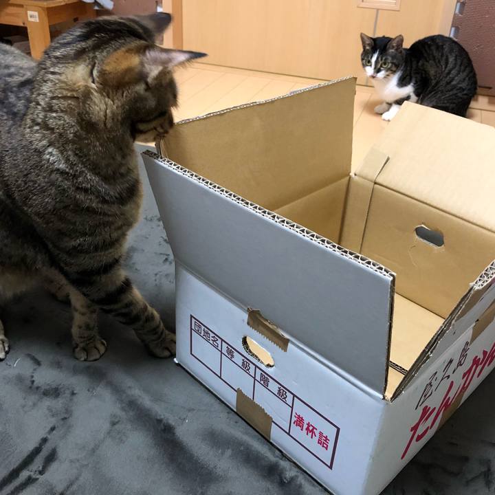 97c83831 ef3e 4a7b a3cb ff752f8258fd 1521429009360