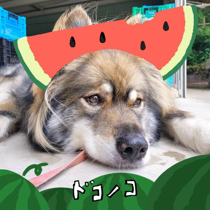 97c86def a3e8 4b92 b04a d510b45416b6 1721292748980