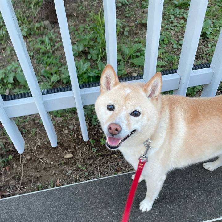 97c879dc 7843 4587 9d31 369e411b18c2 1697196164946