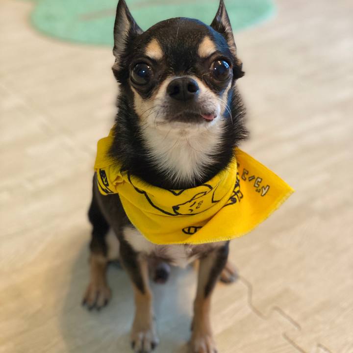 97c893b2 0878 471d 8483 4f6c4f05d45c 1772701186537