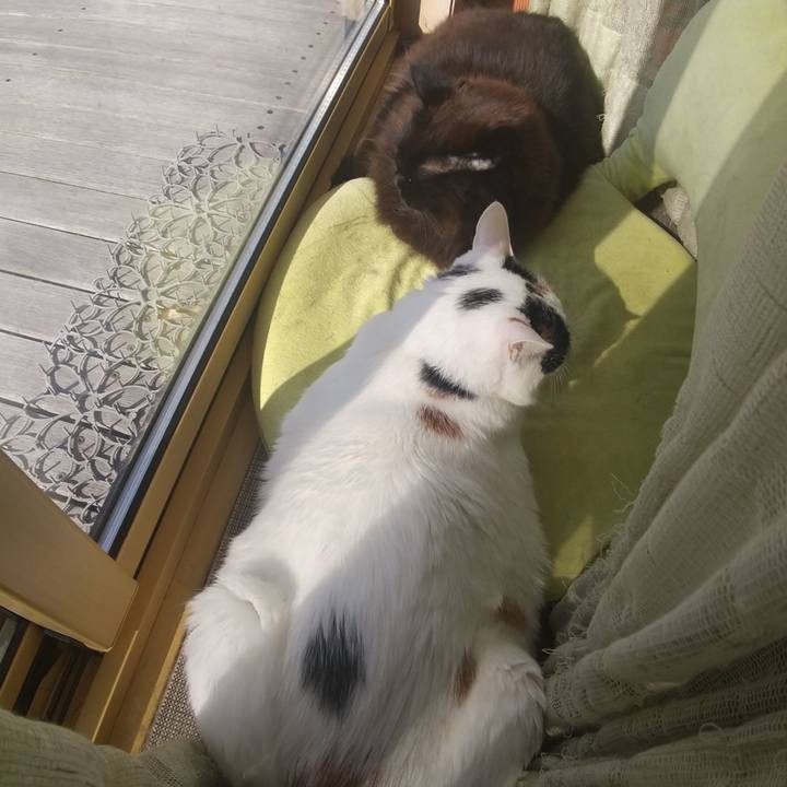 97c8a6ad 66e8 44ce bef6 7789e62c636c 1678925703010