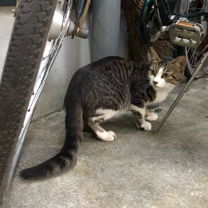 97c975cc 90a8 4e08 94df ac21cdcf8201 1534673512909