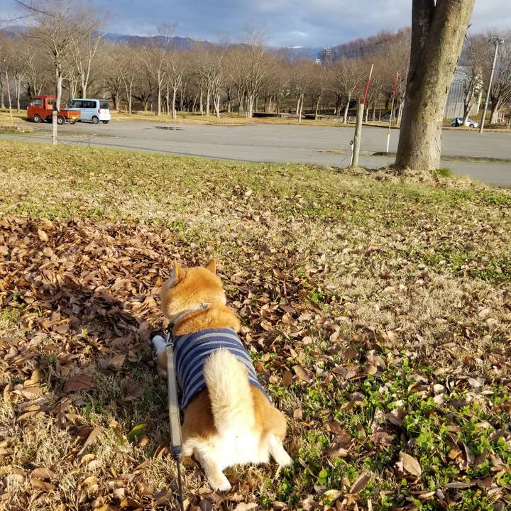 97c97f3d cff2 4655 9c2b 5fc24f30f5c1 1670823471758