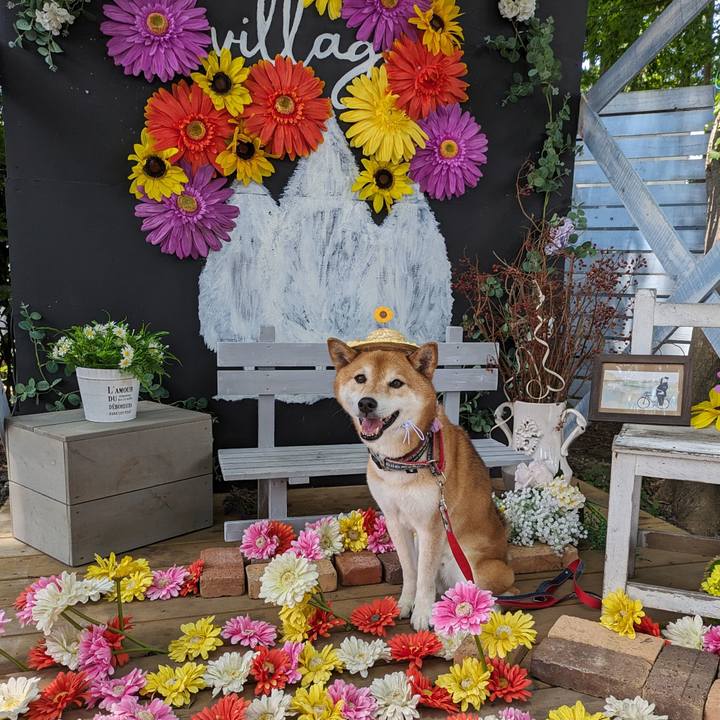 97c98f7f 7a4a 4c39 821a efd581e8c99e 1718073254063