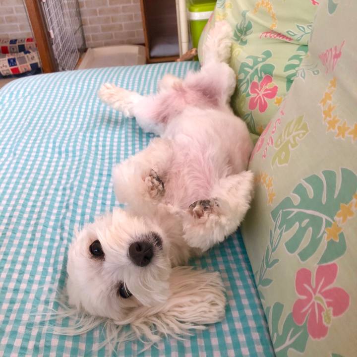 97c99ab3 133d 4a35 b981 7f68f1384308 1533005318692