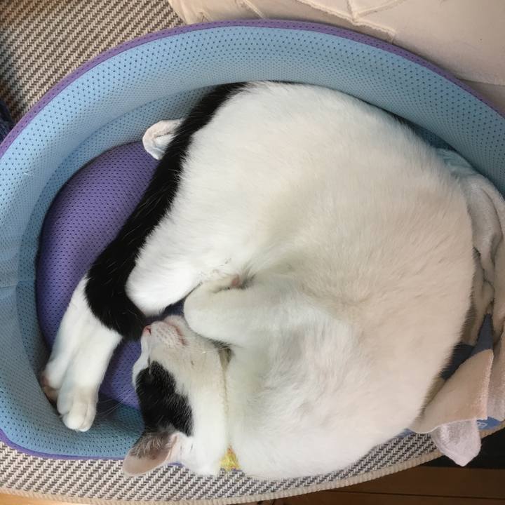 97c9af41 55c0 4415 9616 b1308d010857 1509034527934