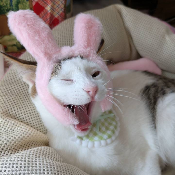 97c9cd6f bd65 46a5 a492 9957e540c83e 1770785913756