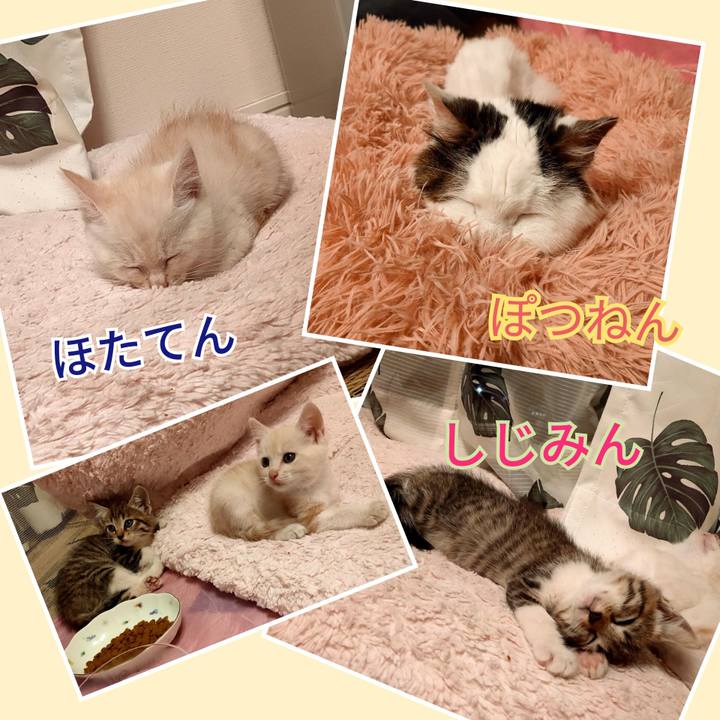 97c9d1ca c4aa 4811 9293 796c61a94d3a 1623132901765