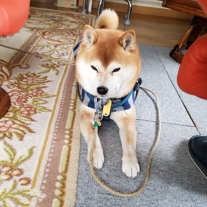 97c9fb92 6bd0 40a9 b9bb 16065f5b6c70 1551059933432