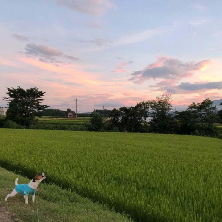 97ca0348 3cfe 4a18 bc05 758ac6bcdc12 1565954642672