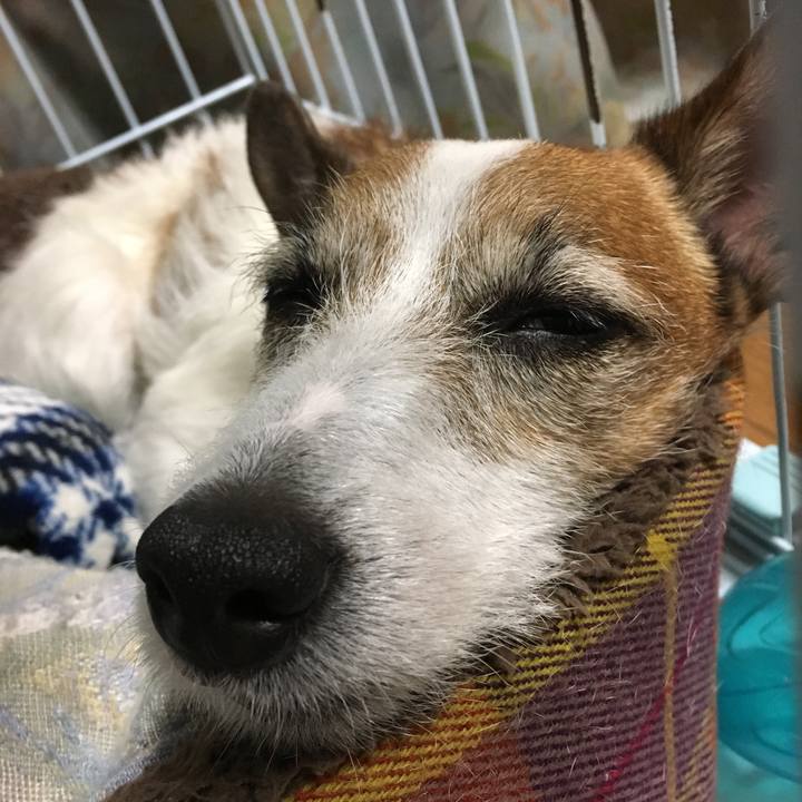 97ca2474 0523 4208 9805 ae6ead99a720 1558481229356