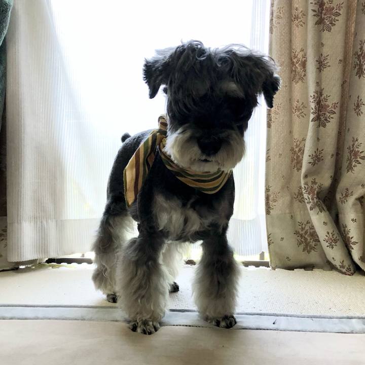 97ca4098 80a6 436d 8db1 e24d1ea488b0 1657934699957