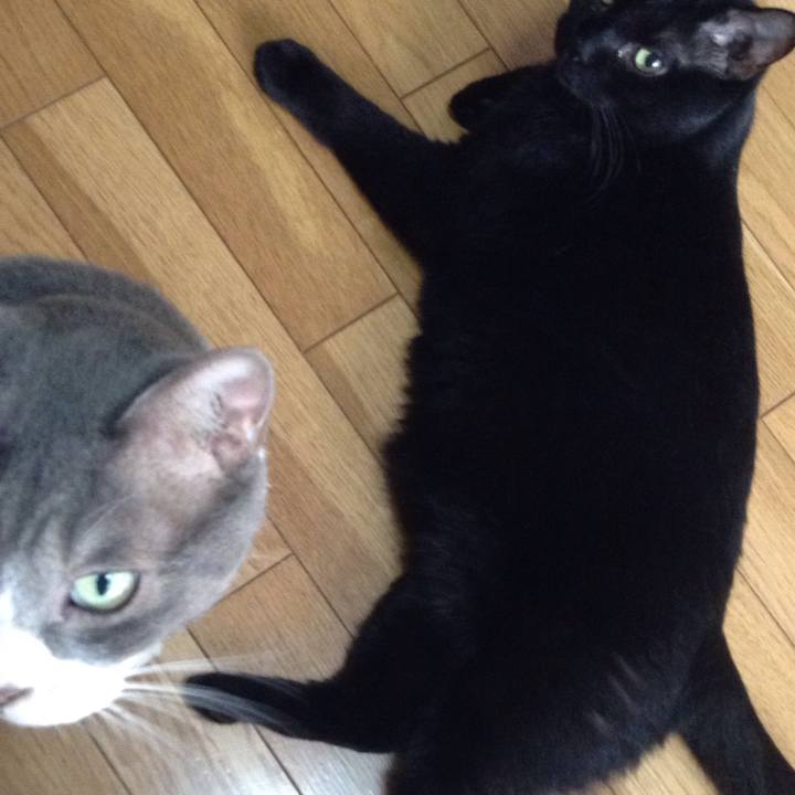 97ca4808 1e2f 4dfe 804f de149cdf702d 1533899619989