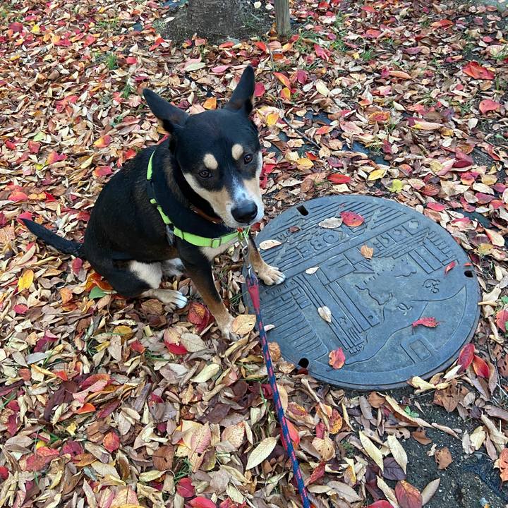 97caa147 bbd3 4820 973f 1f9a2803ceb6 1604963324916