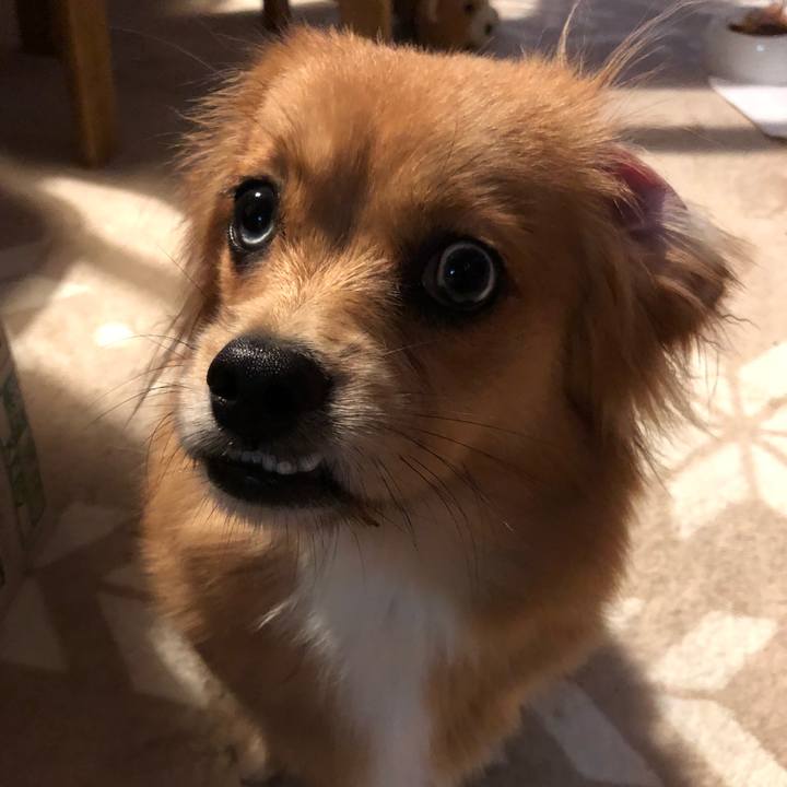 97caa505 d468 4407 bbb1 f012bc339a30 1508019791581