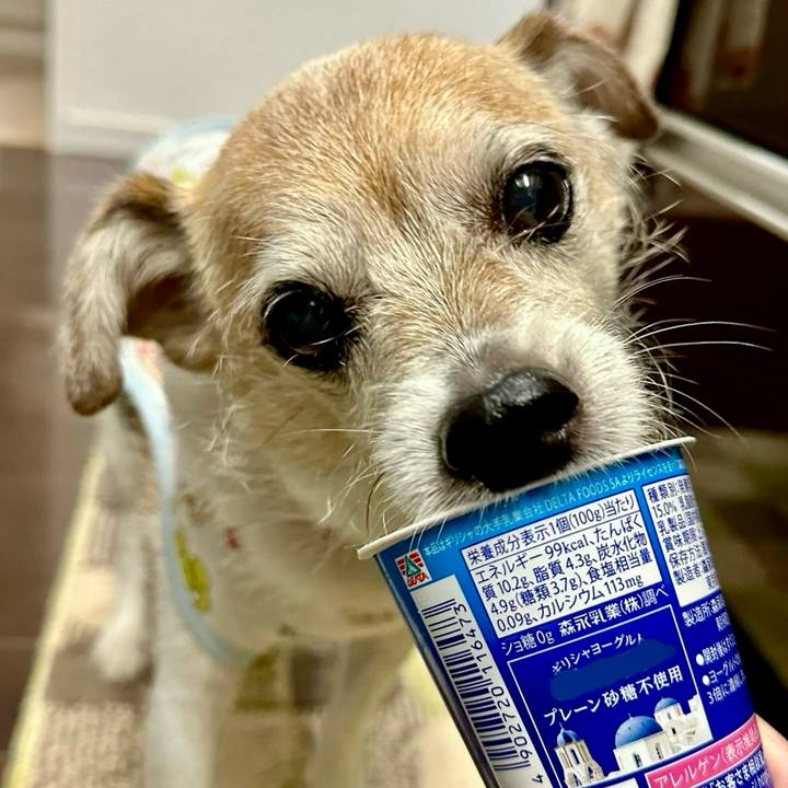 97caafbc c485 4c1f bae8 2507864605a8 1719805508493