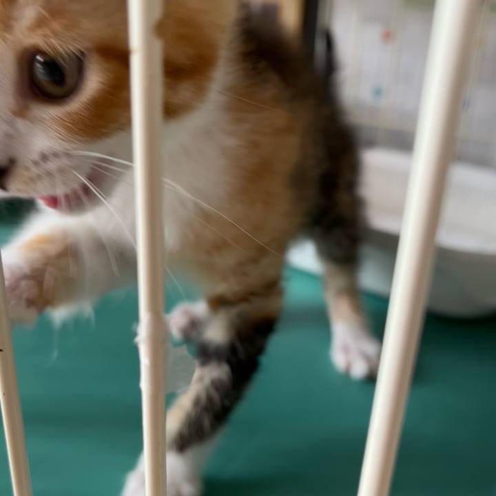 97caba7a e70d 4dd2 8131 e475db8e6d32 1652487614505