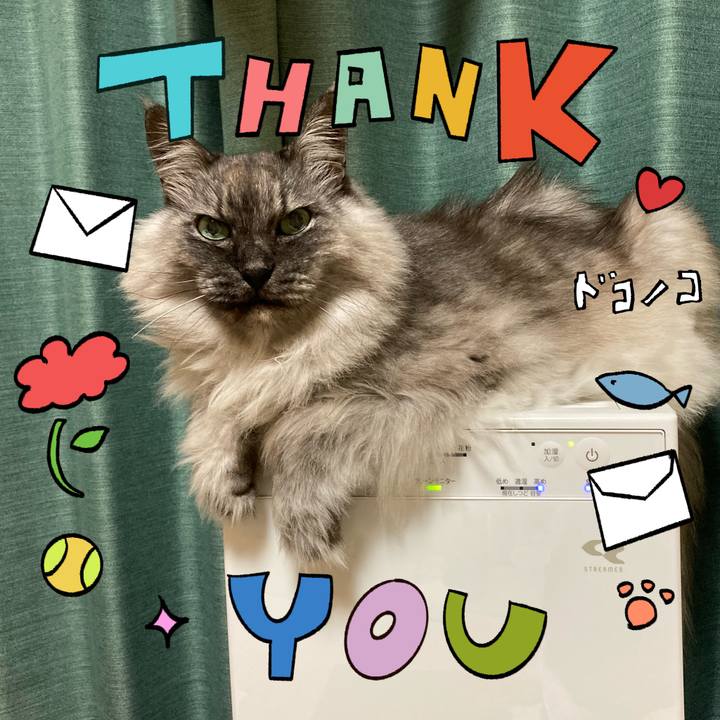 97cac8c6 b6f5 43d7 bf18 9c41c3da3bc4 1715430843482