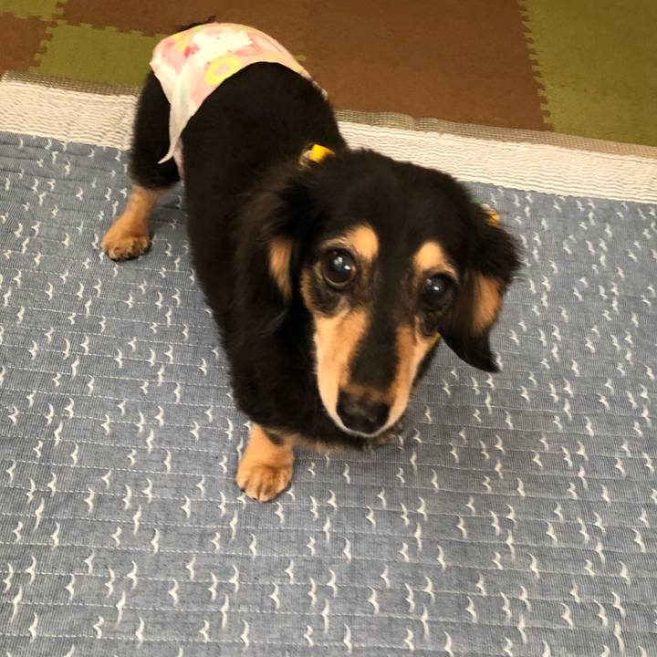 97cb0589 a431 4aec a0d7 2721129d84b1 1593215853005