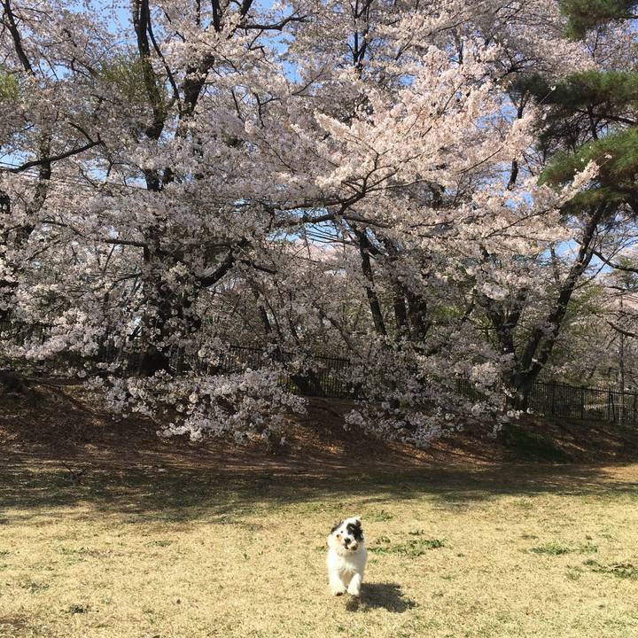 97cb061b 4991 4f46 a3ae cb71f05d32fb 1522464136068