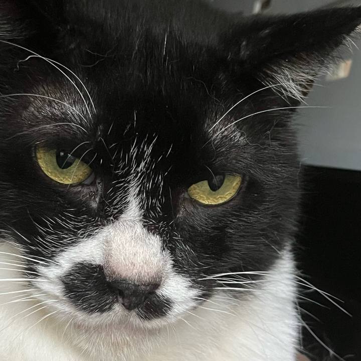 97cb4c51 3634 4c92 9a6d dcaaed2eaae1 1713564990210